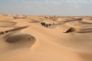 Caravan Club of Tunisia