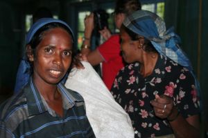Weighing in tea 'pluckings' - Glenloch Estate