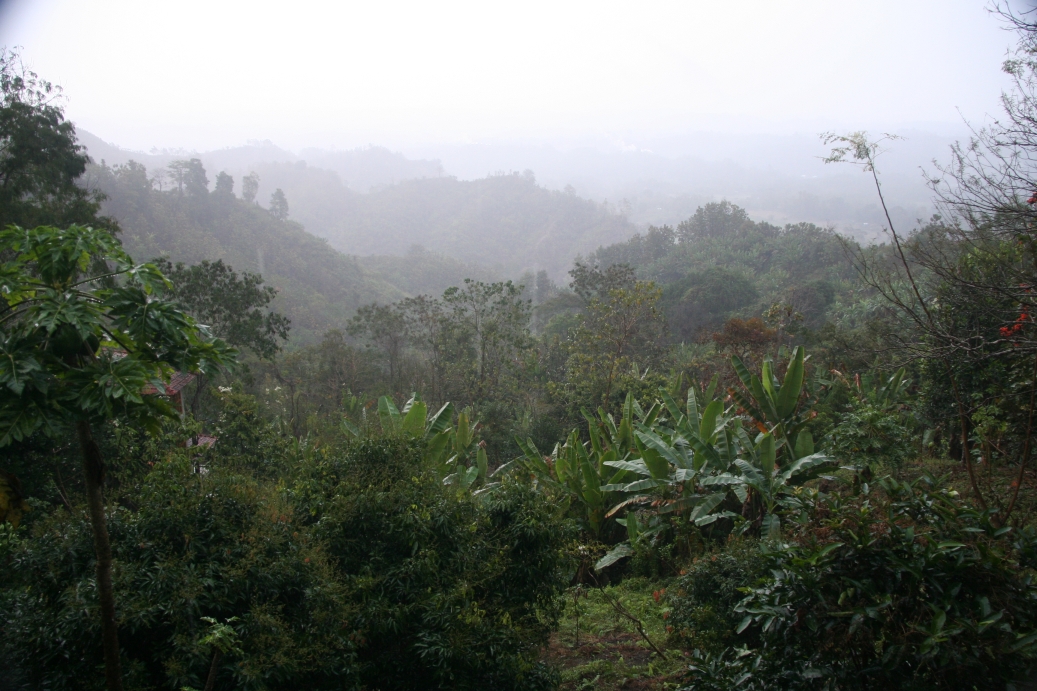 Bangladesh - flat, flooded and overpopulated?